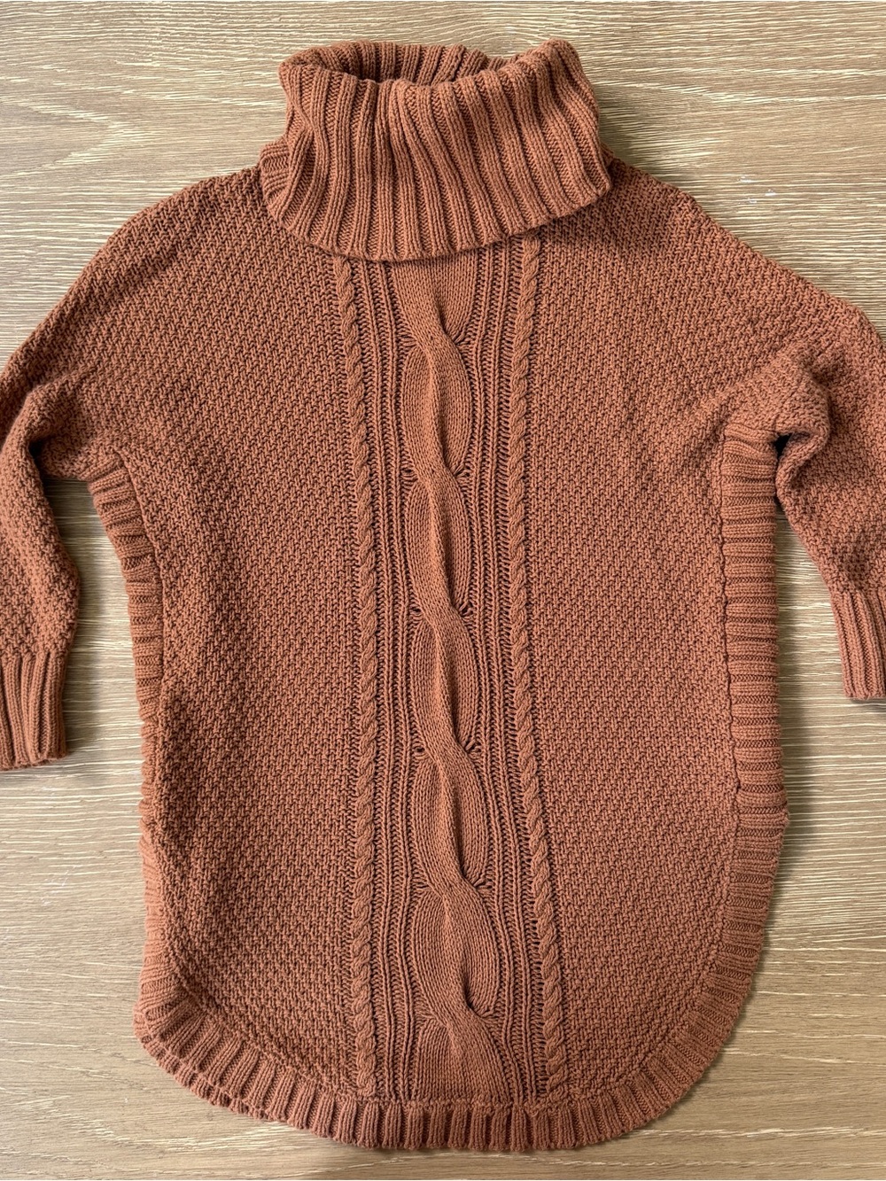 Express Rust Cable-Front Turtleneck Sweater